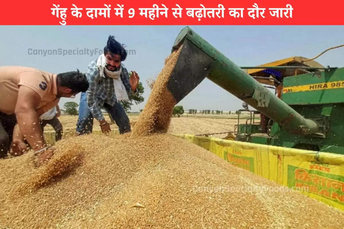 Wheat price Hike