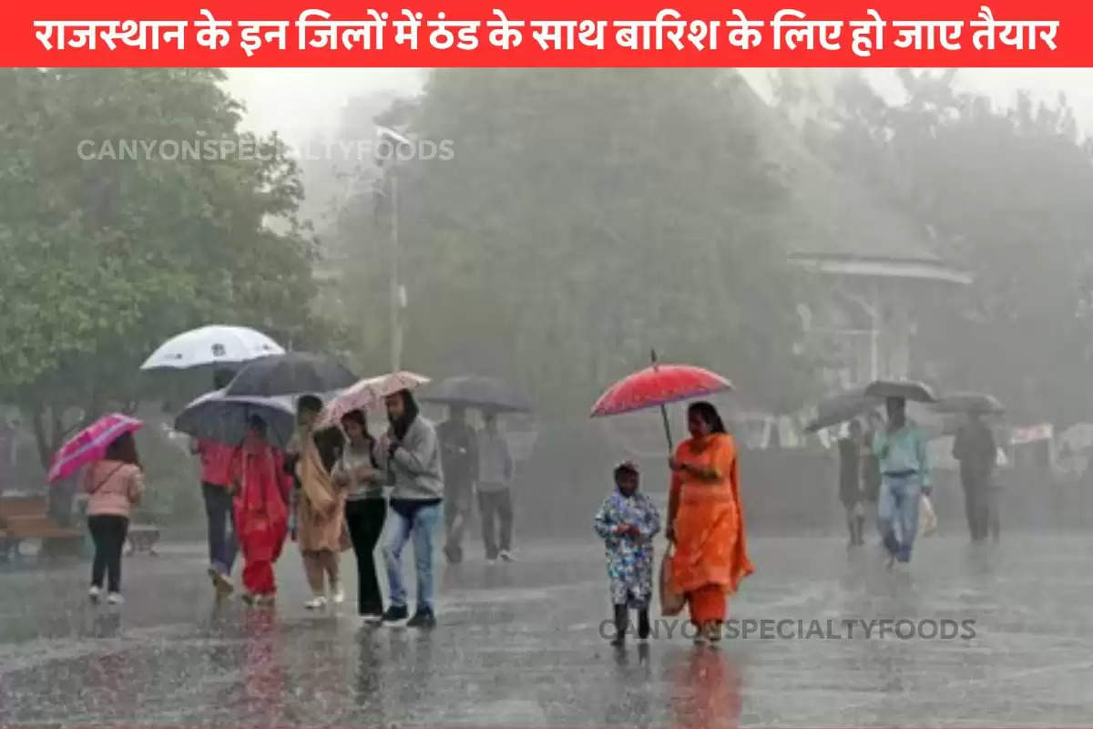 Rain increases chill in Rajasthan