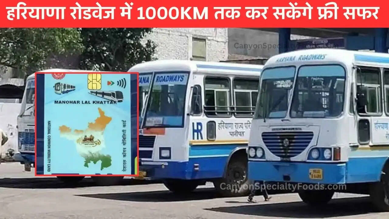 हरियाणा रोडवेज में 1000KM तक कर सकेंगे फ्री सफर