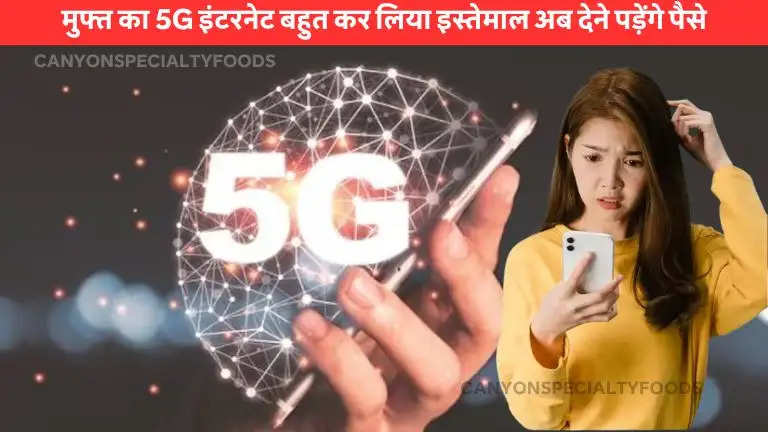 5G internet  mobile user