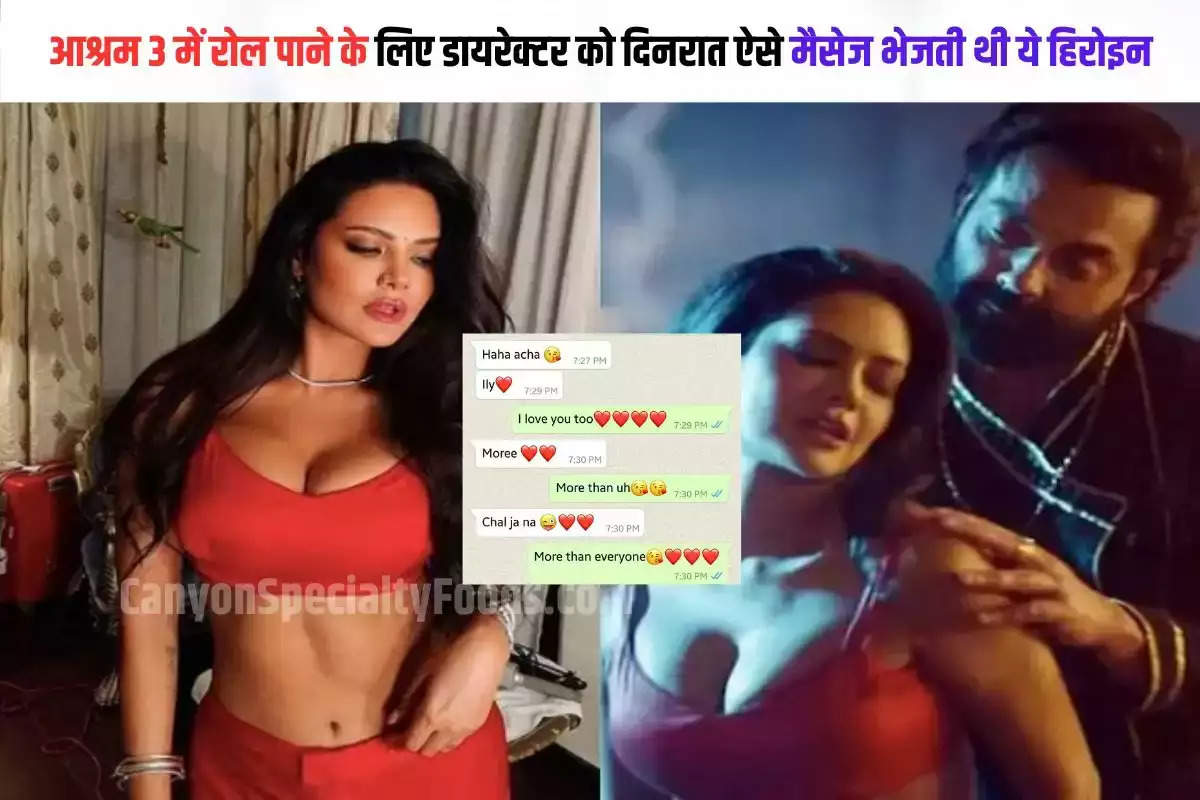 आश्रम 3 में रोल पाने के लिए डायरेक्टर को ऐसे मैसेज भेजती थी हिरोईन