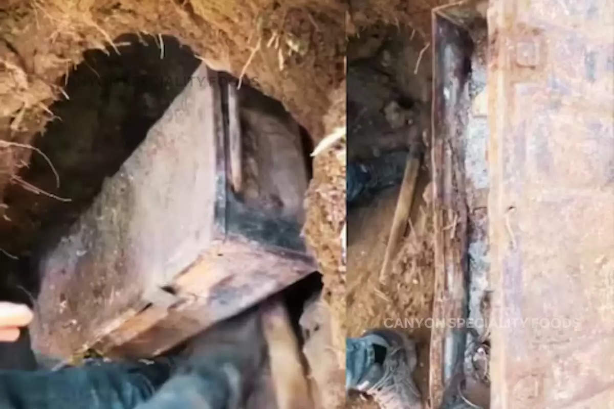 hidden old box discovers under ground, hidden old box found, video of gold prospecting, gold digging video, viral video of gold prospecting, gold prospecting went viral, box discovers under ground full of treasure,