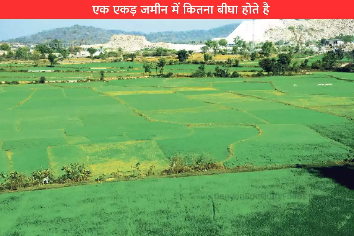 many-bigha-are-there-in-1-acre-in-punjab-up-bihar
