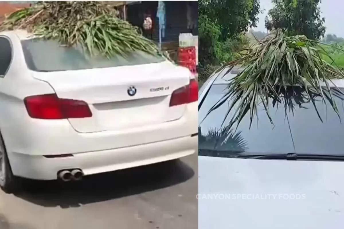 bihar-carries-grass-in-a-bmw