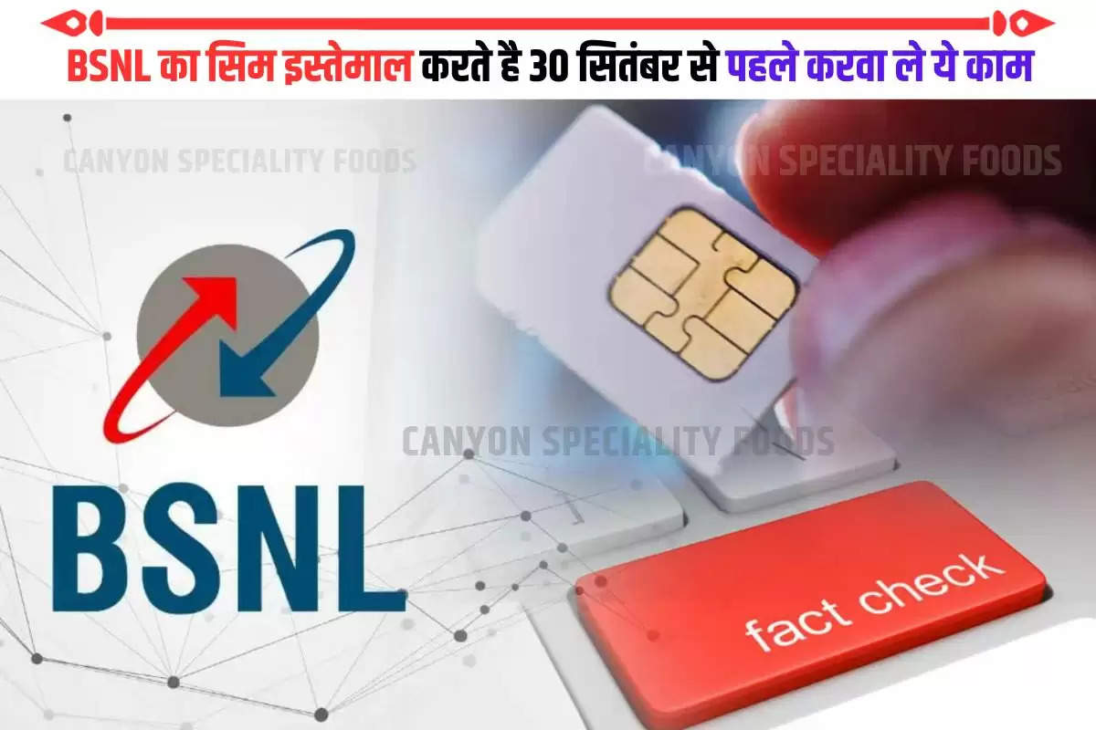 bsnl digital kyc