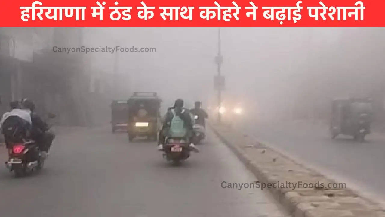 Haryana Mausam