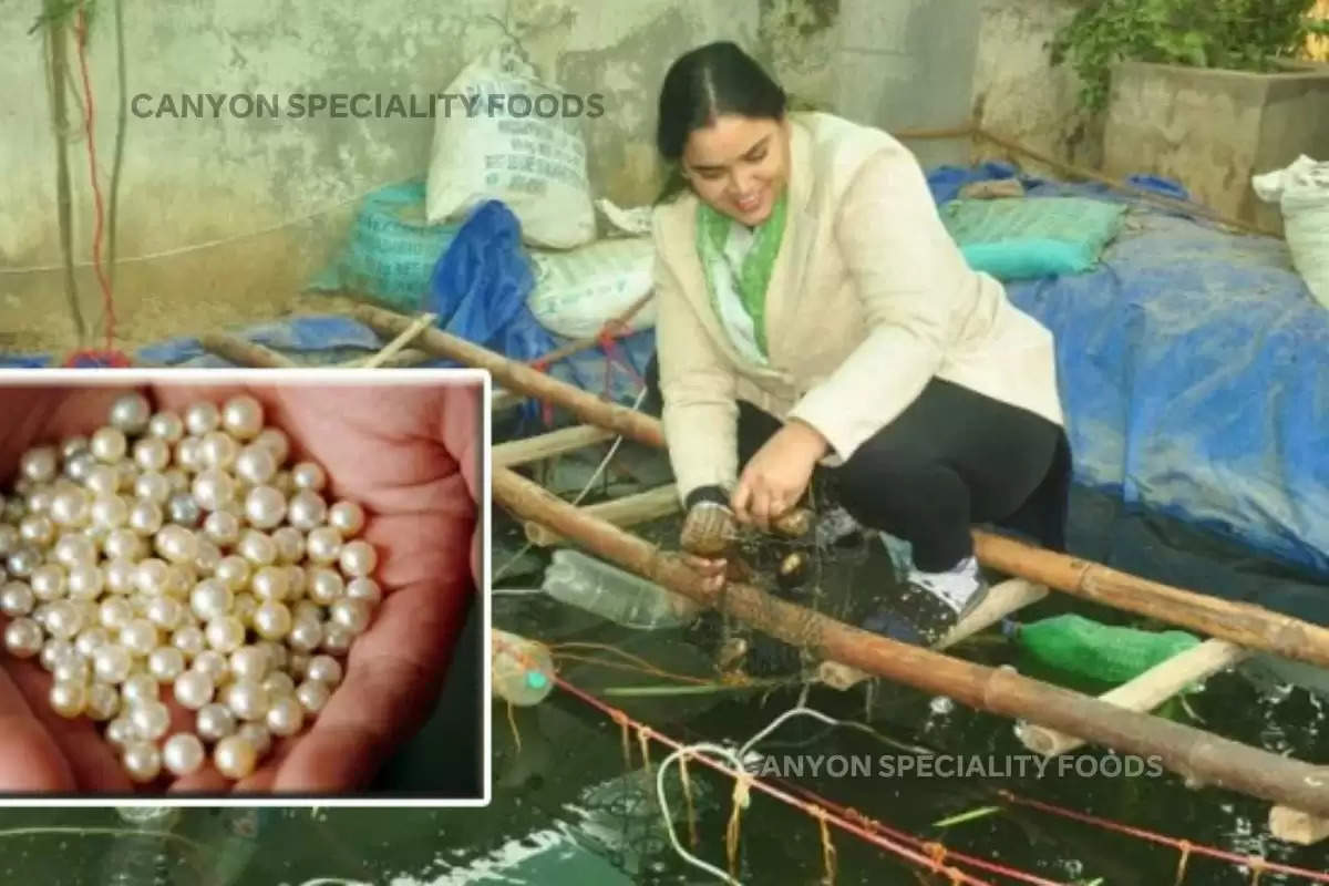 agra-woman-ranjana-yadav-pearl-farming-in-bathtub