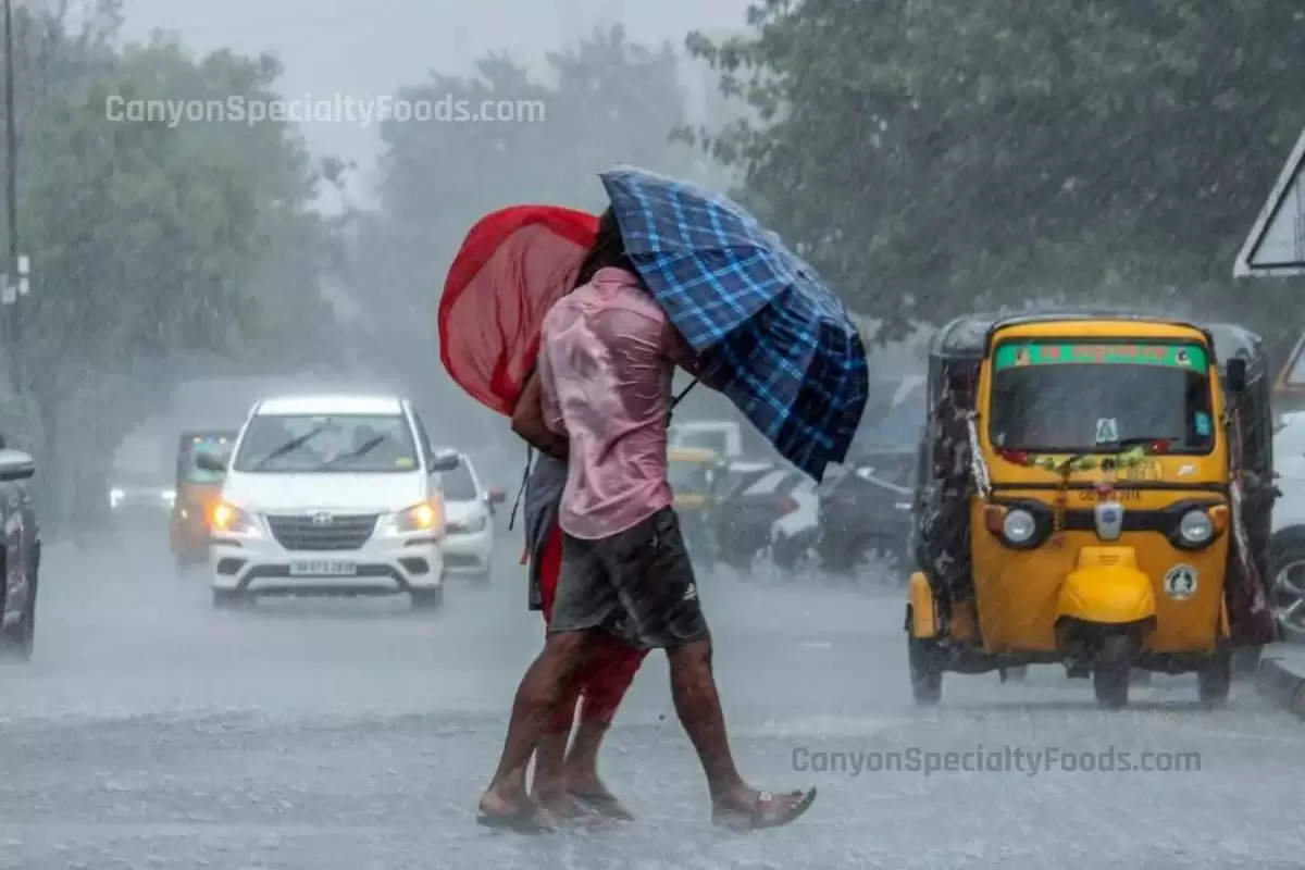 UP Weather: सावन से पहले रफ्तार पकड़ेगा मानसून, इन जिलों में होगी भारी बारिश