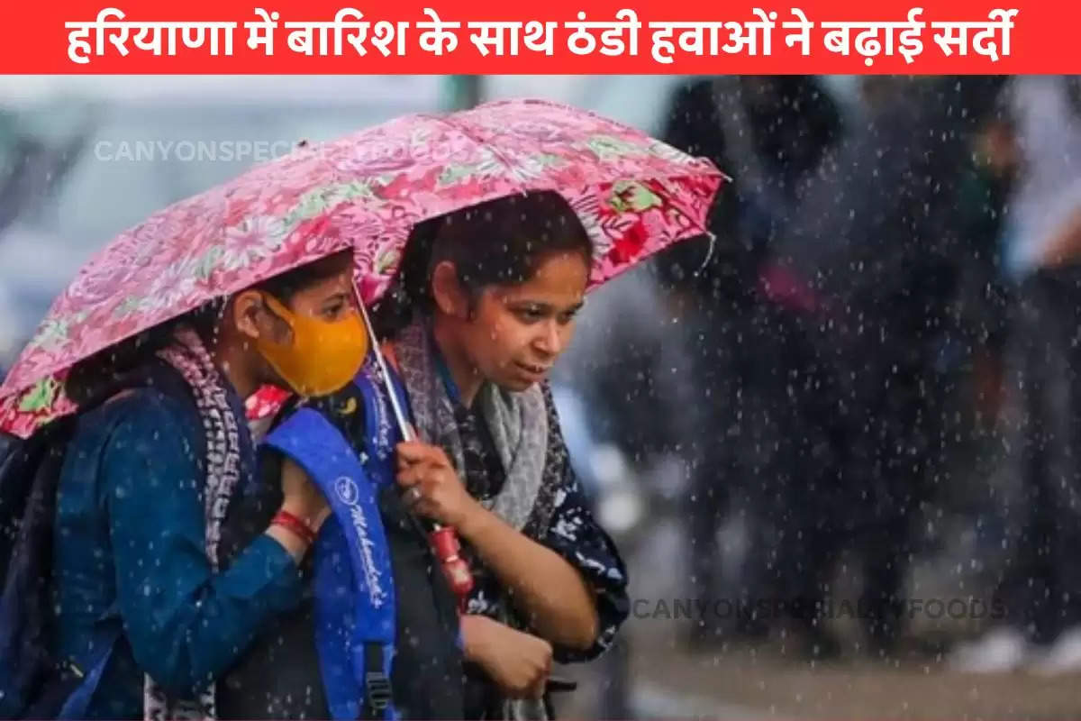 haryana-orange-rain-alert-in-nine-districts