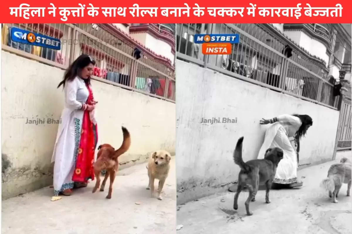 well dress woman feeding dog