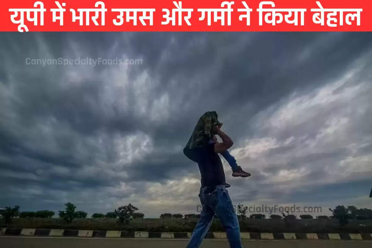 Weather Update: उमस करेगी बेहाल या बादल देंगे राहत, कैसा रहेगा आज यूपी में मौमस का हाल! पढ़ें ताजा अपडेट