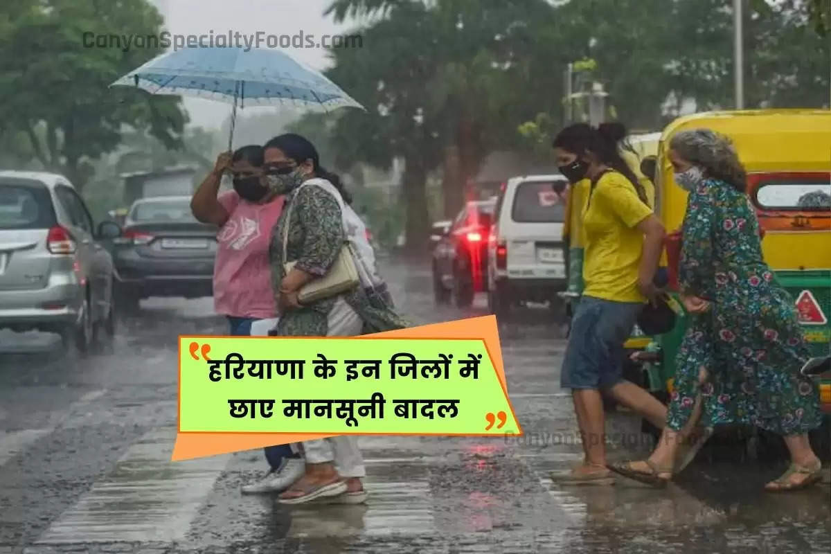 haryana weather, haryana weather update, haryana weather report, haryana weather report today, haryana ki weather report, skymet weather report haryana, haryana mausam news, haryana mausam news today,haryana weather news,